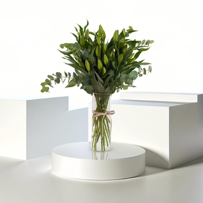 Lily Elegance WD
