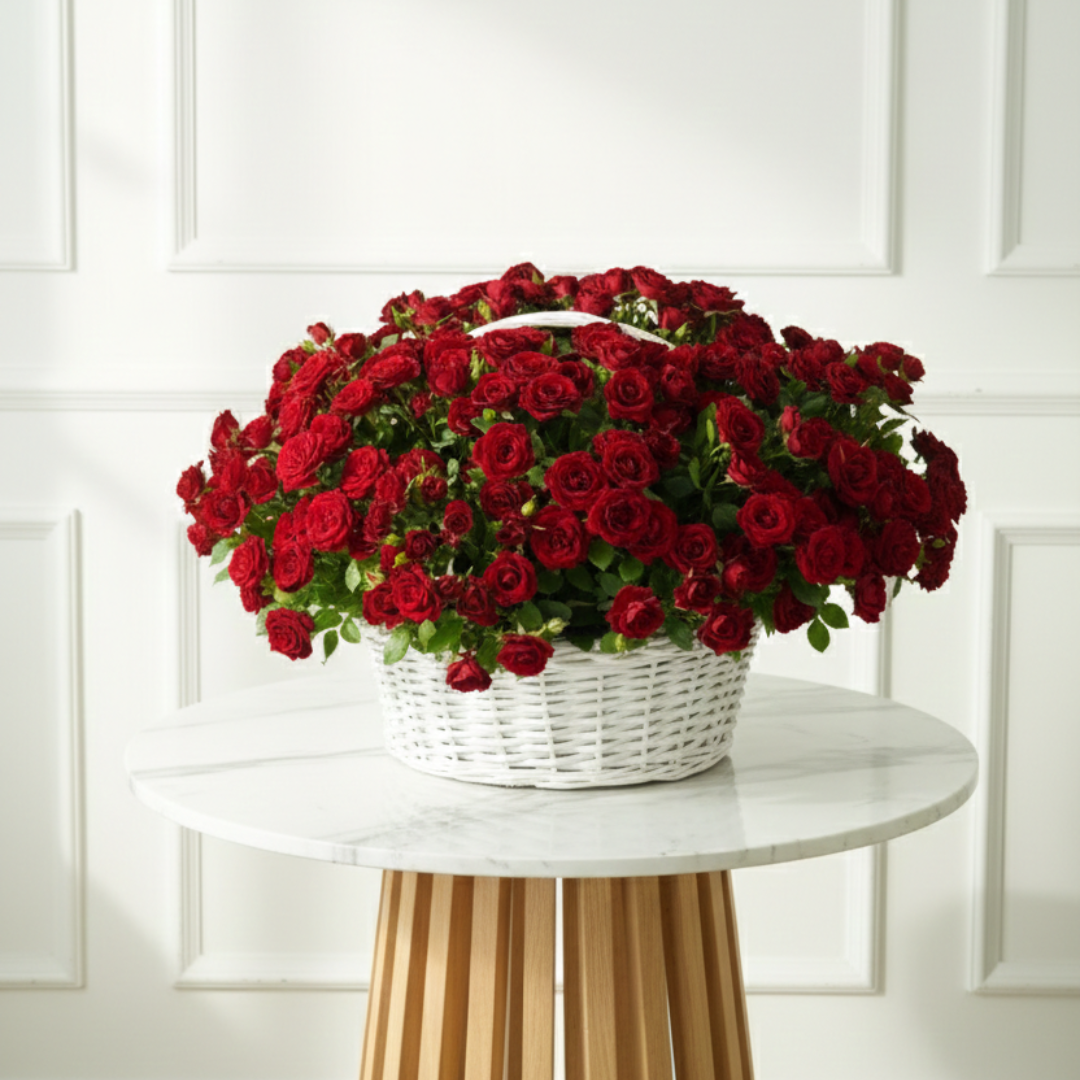 Scarlet Breeze (Red) WD