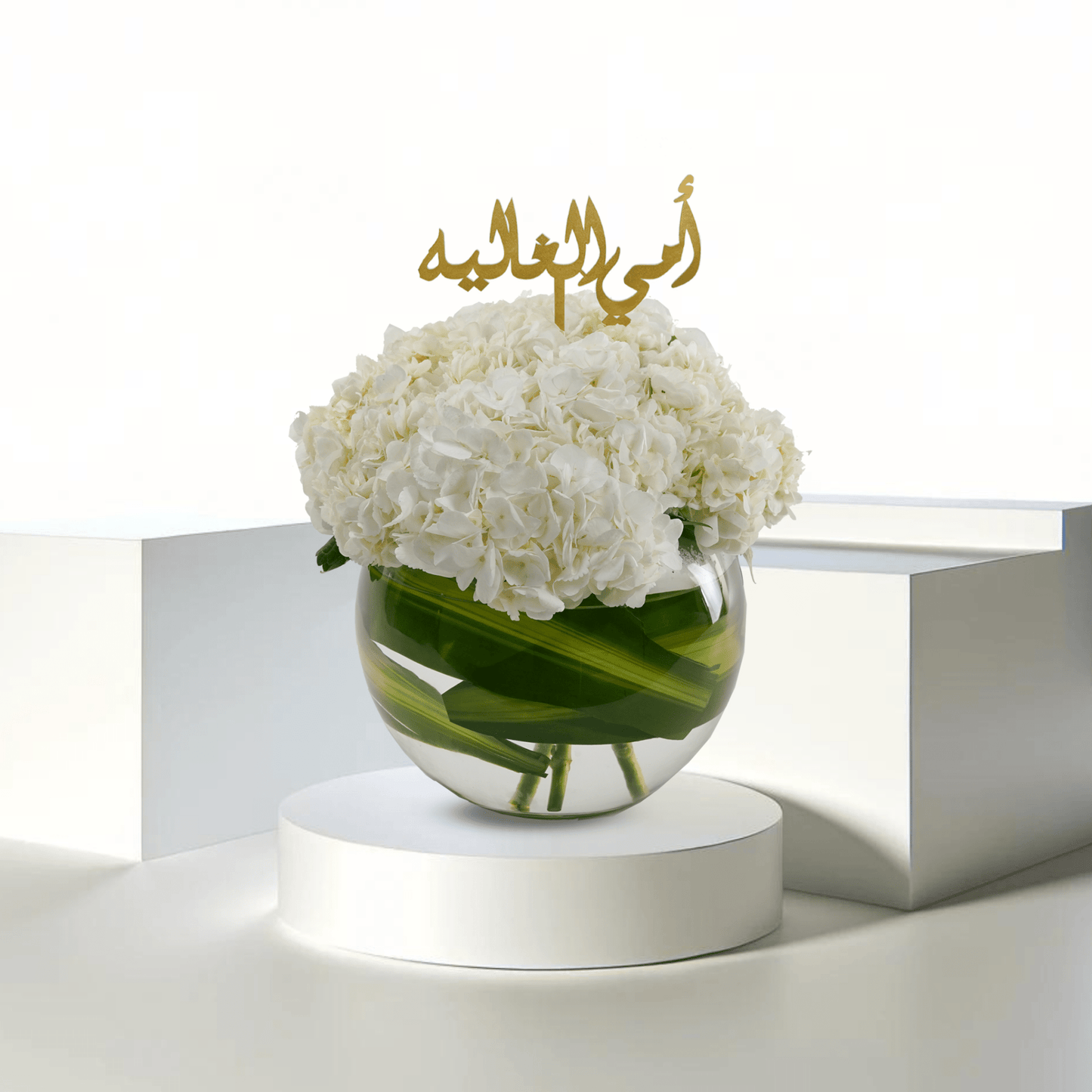 Hydrangea Bliss MD - Buy in Qatar | 24 Hour Flower