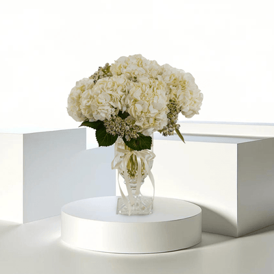 Hydrangea Crystal Bloom - THF4001