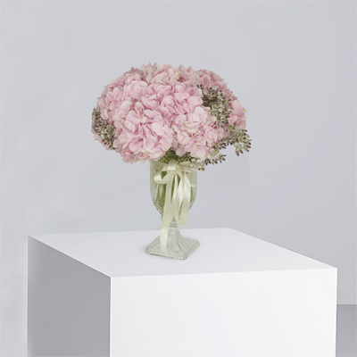 Hydrangea Crystal Bloom - THF4001 Hydrangea Crystal Bloom - THF4001
