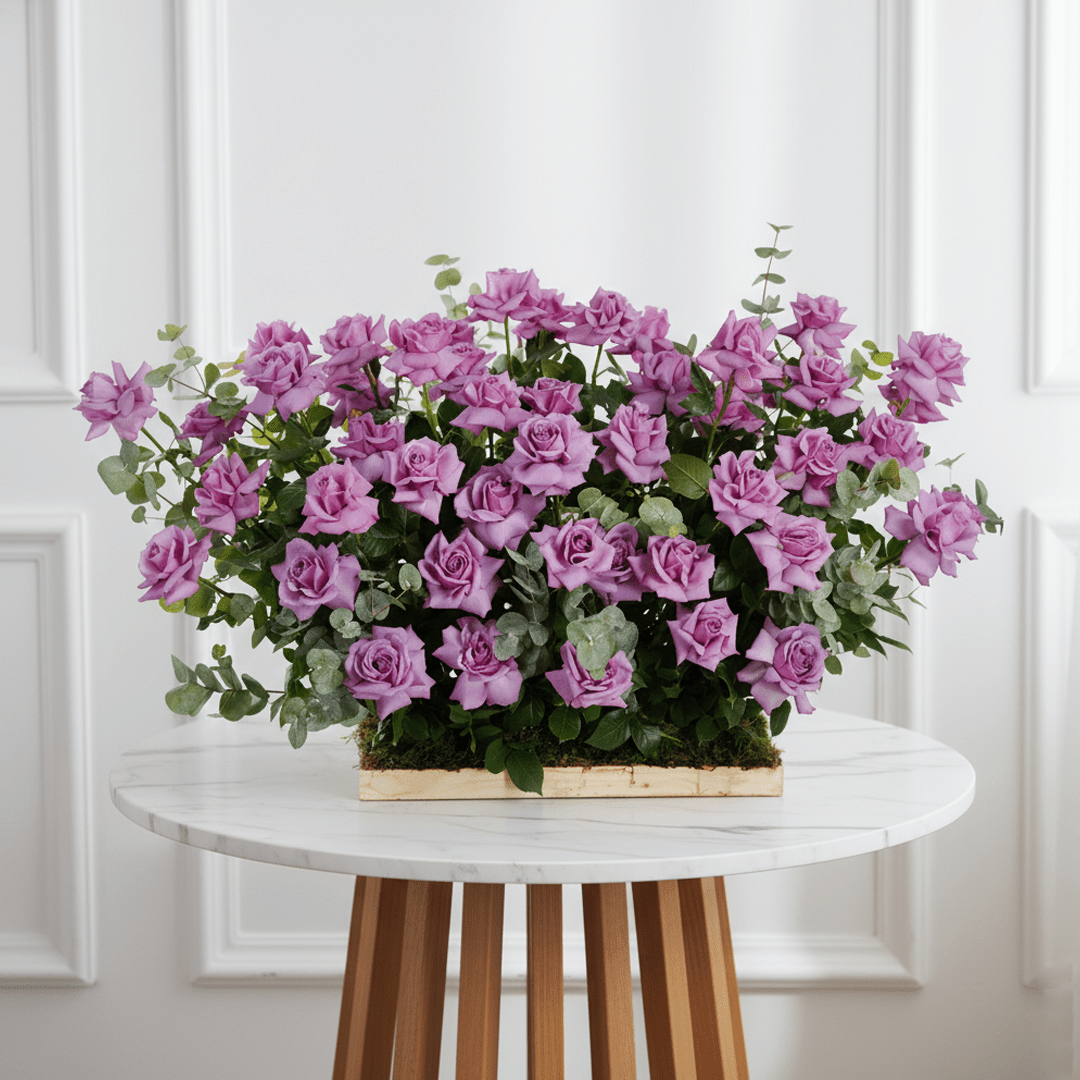 Nature’s Luxe - THF2000 - Buy 24HF BOX in Qatar | 24 Hour Flower