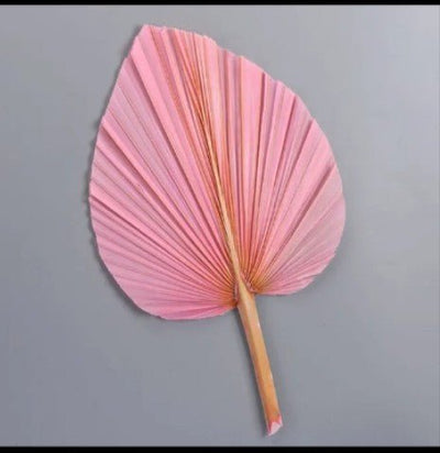 Palm Spear Dried - PK - Buy Dried Products in Qatar | 24 Hour Flower