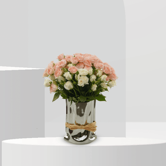 Petite Elegance - B4087