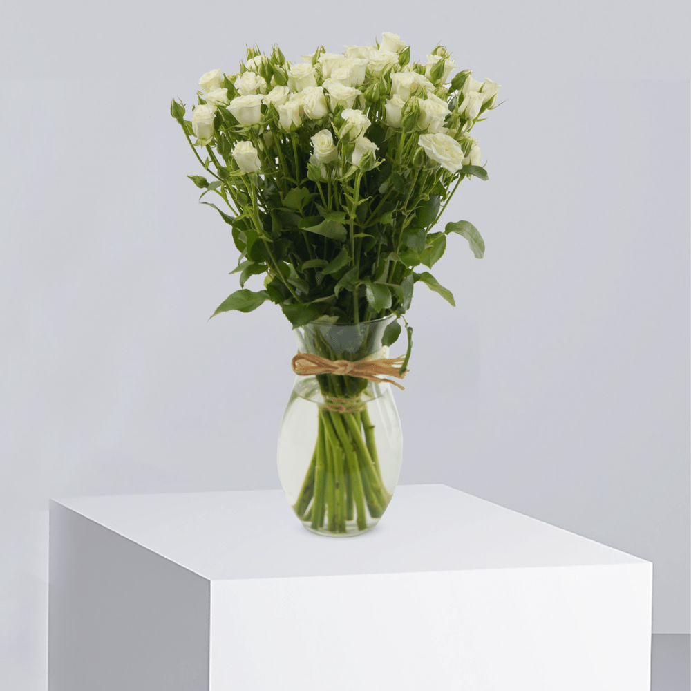 Pristine Love - T4031 - Buy Vase Arrangement in Qatar | 24 Hour Flower