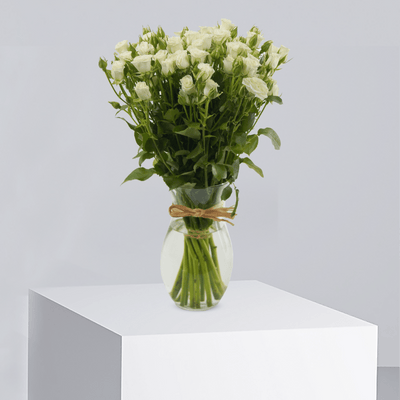Pristine Love - T4031 - Buy Vase Arrangement in Qatar | 24 Hour Flower