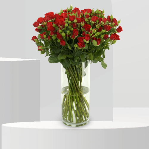 Radiant Ruby - B4066 - Buy Vase Arrangement in Qatar | 24 Hour Flower
