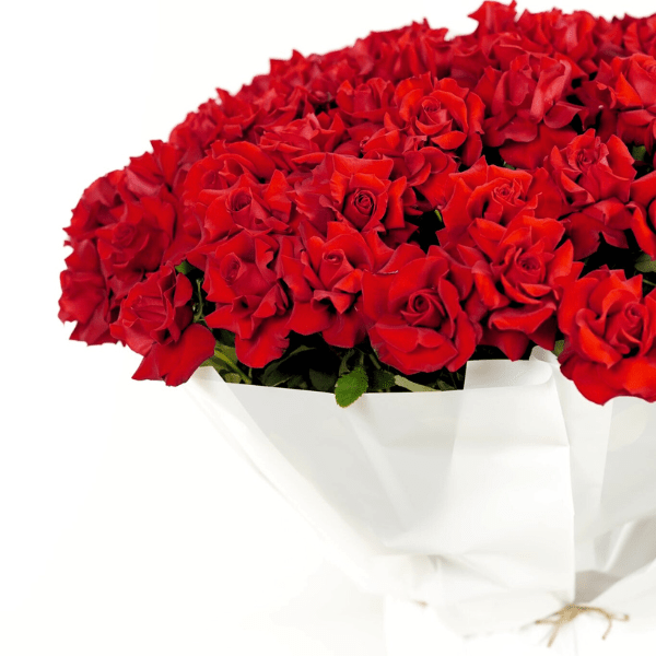 Ruby Grandeur - Buy in Qatar | 24 Hour Flower