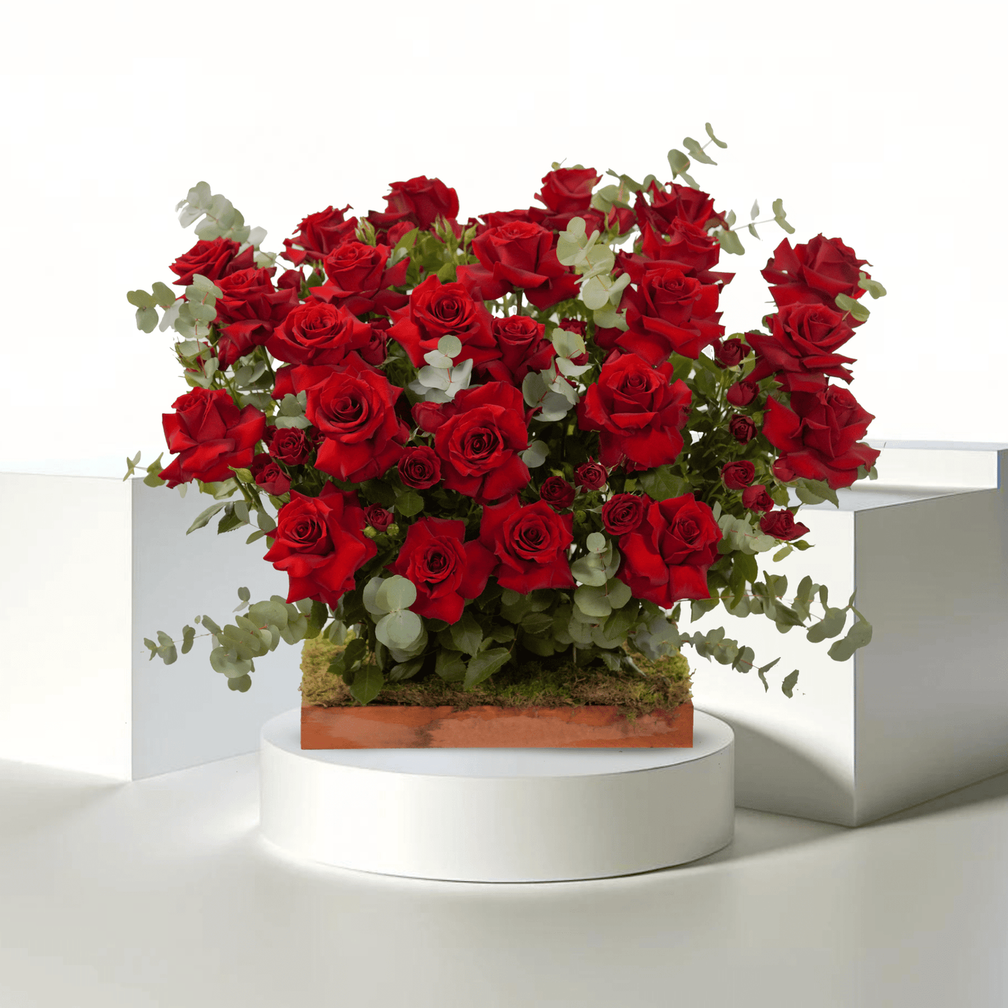 Scarlet Romance - Buy 24HF BOX in Qatar | 24 Hour Flower