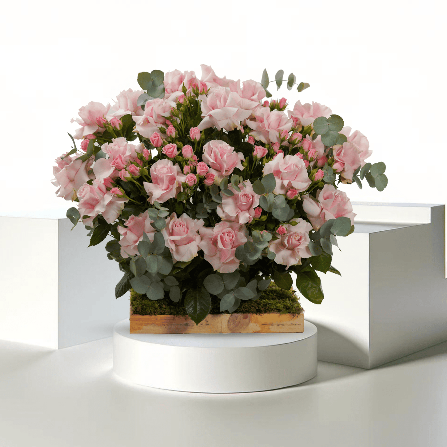 Scarlet Romance - Buy 24HF BOX in Qatar | 24 Hour Flower