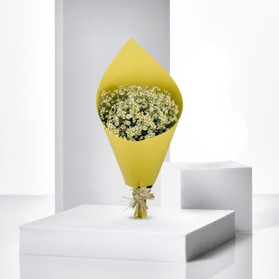 Sunny Fields - Buy in Qatar | 24 Hour Flower