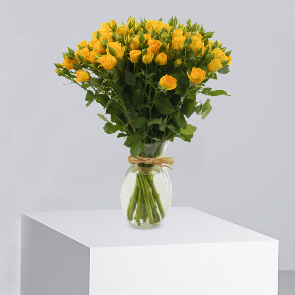 Sunshine Elegance - Buy in Qatar | 24 Hour Flower