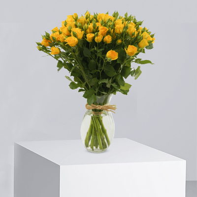 Sunshine Elegance - Buy in Qatar | 24 Hour Flower