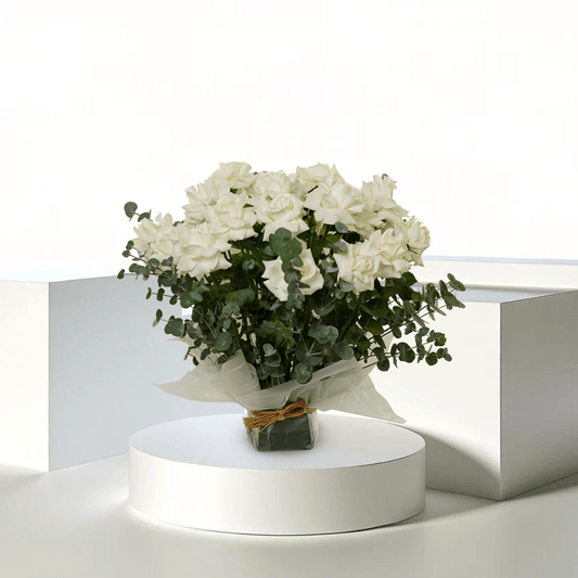 Sunshine Elegance - T2002 Sunshine Elegance - T2002
