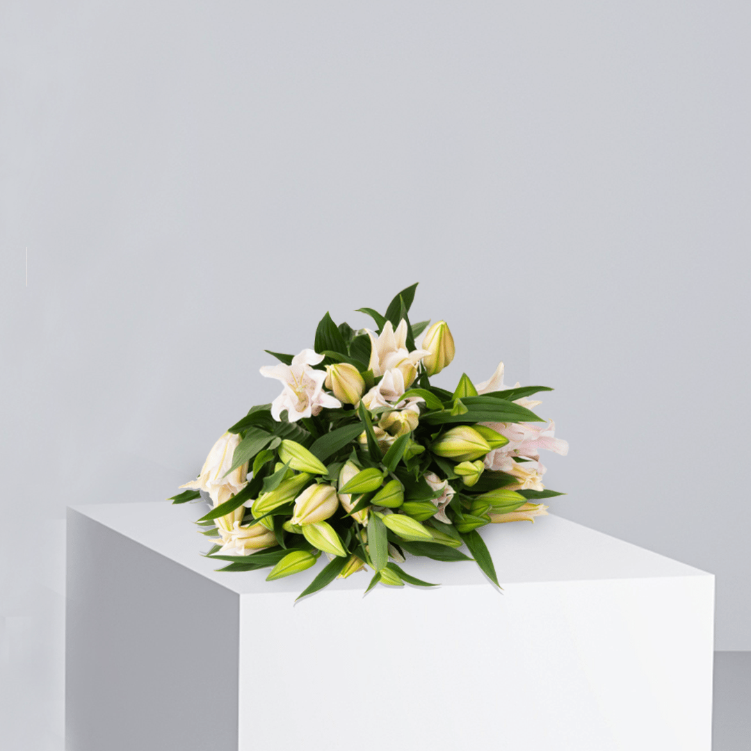 Pink Lily - Buy Wholesale Flowers in Qatar | 24 Hour Flower