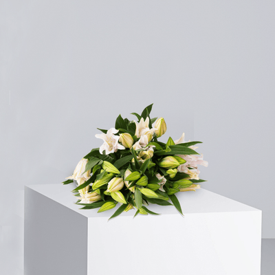 Pink Lily - Buy Wholesale Flowers in Qatar | 24 Hour Flower