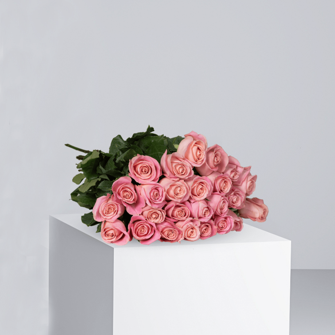 Pink Roses - Buy Wholesale Flowers in Qatar | 24 Hour Flower