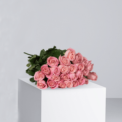 Pink Roses - Buy Wholesale Flowers in Qatar | 24 Hour Flower