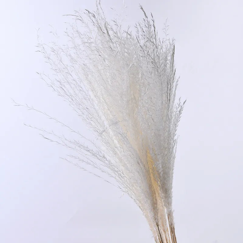 Flower Reed Small 60cm