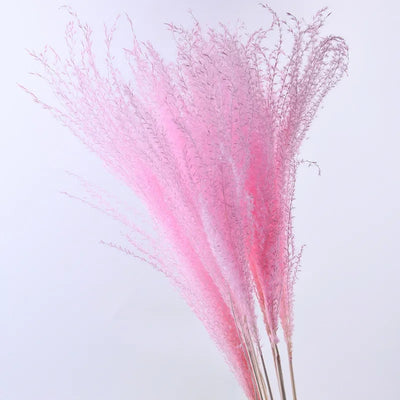 Flower Reed Small 60cm