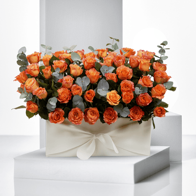 Rosas Eternas (Orange) WD