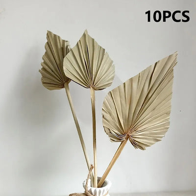 Dried Palm Leaves