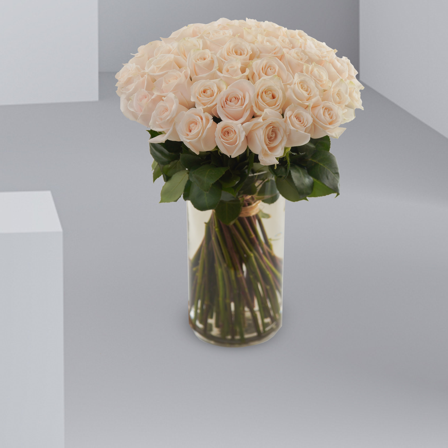 50 Rose Vase Delight