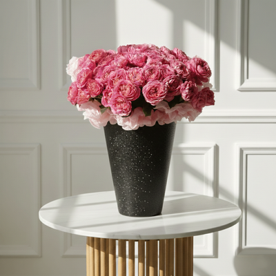 Pink Mirage - THF2012