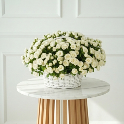 Scarlet Breeze (White) WD