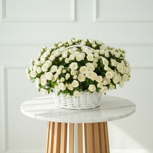 Scarlet Breeze (White) WD