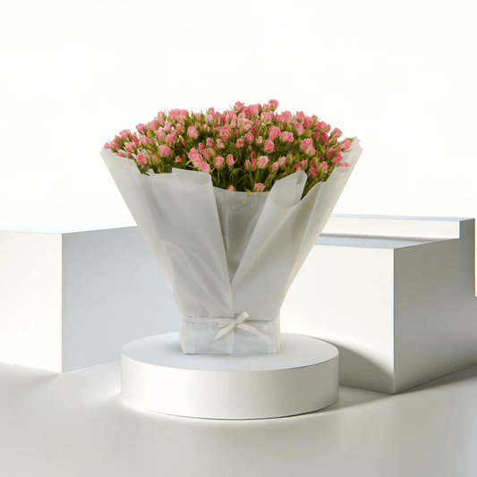 Bloom Delight WD