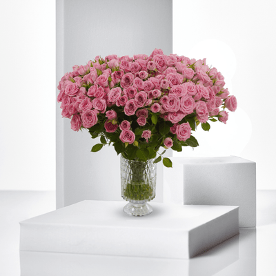 Blush Opulence WD - Buy in Qatar | 24 Hour Flower