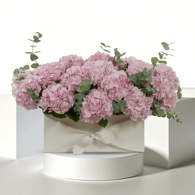 Elegancia Hortensia - THF3002