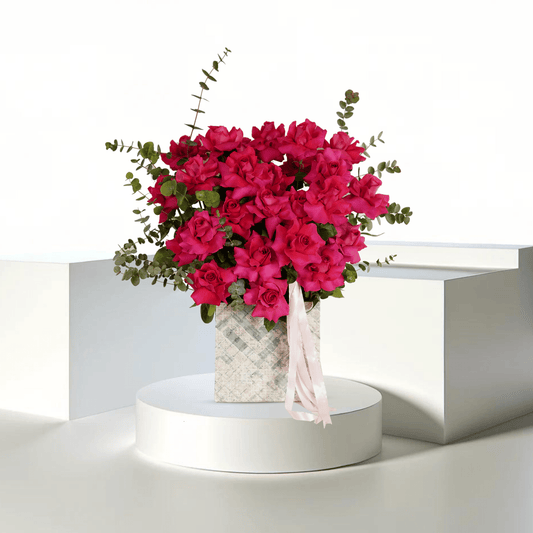 Gracia de Rosa - THF3005