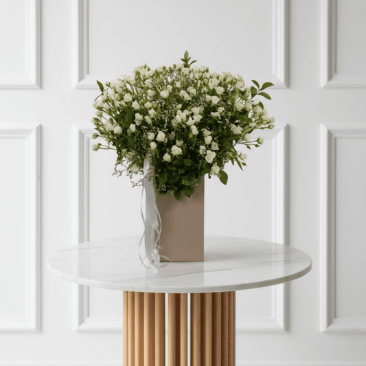 Luminous Grace  WD - THF3004