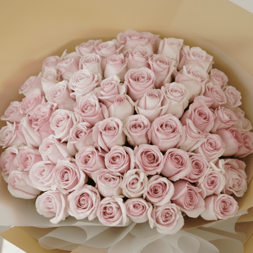Luxury Blush Roses - Buy in Qatar | 24 Hour Flower