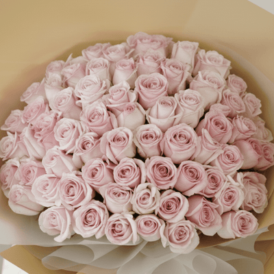 Luxury Blush Roses - THF1094