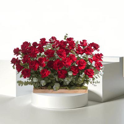 Nature’s Luxe - THF2000