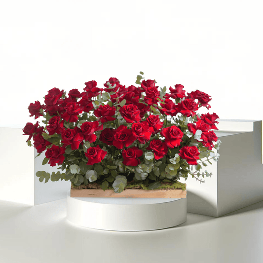 Nature’s Luxe - THF2000