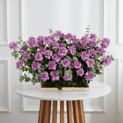 Nature’s Luxe - THF2000