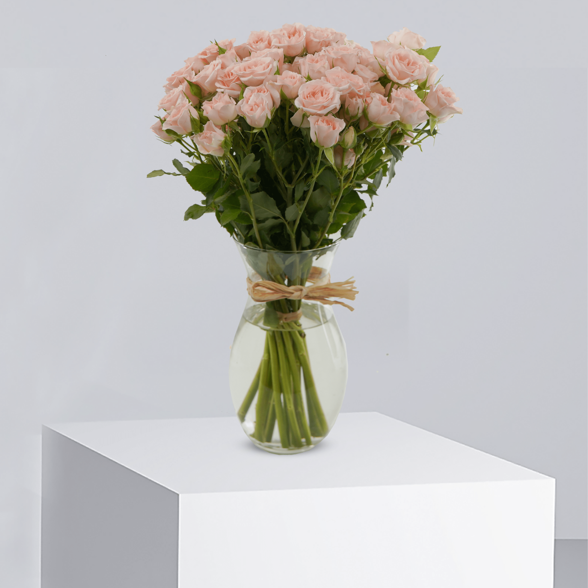 Peach Serenity - T4029 WD - Buy in Qatar | 24 Hour Flower