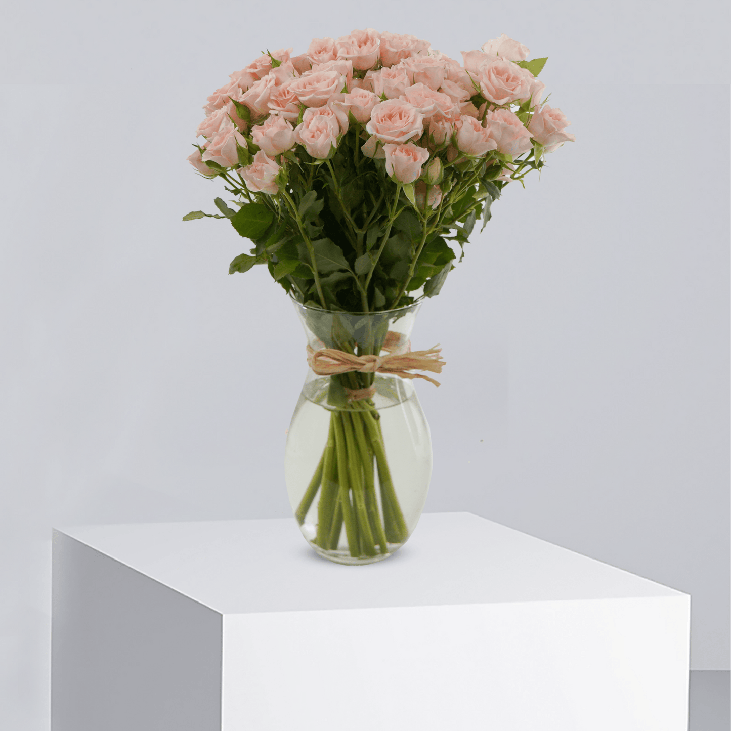 Peach Serenity - T4029 WD - Buy in Qatar | 24 Hour Flower