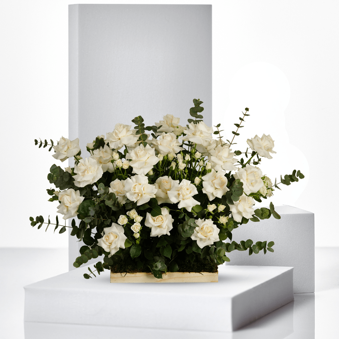 Scarlet Romance - THF2001 - Buy 24HF BOX in Qatar | 24 Hour Flower
