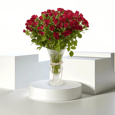 Viva Rosso WD - Buy in Qatar | 24 Hour Flower