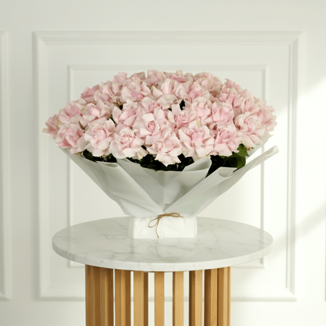 Rosa di Isabella - THF1011