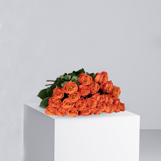 Orange Roses